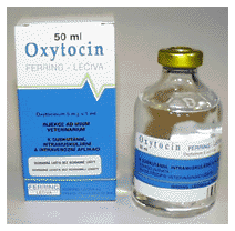 oxytocin.org